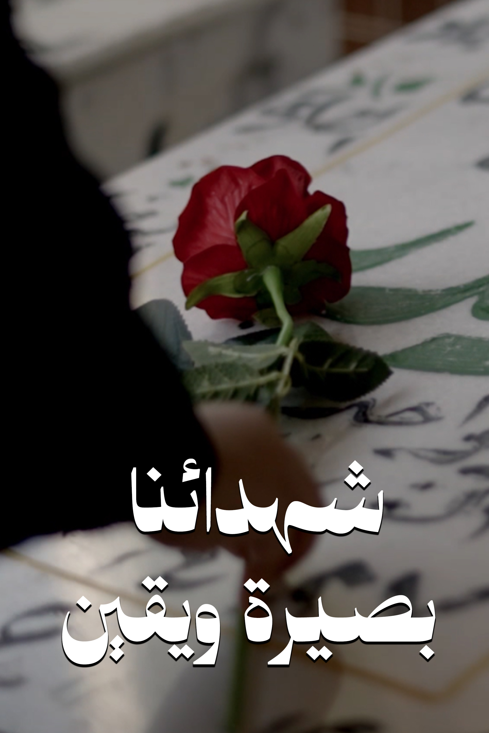 شهدائنا بصيرة ويقين